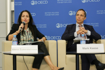 Zukersteinova OECD
