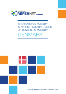 International mobility in apprenticeships: focus on long-term mobility: Denmark